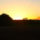 Sonnenuntergang am Rheindamm in Dormagen-Rheinfeld