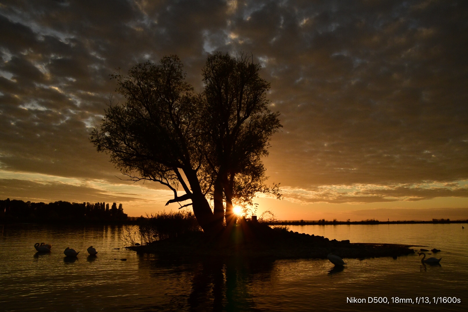 Sonnenuntergang am Rheinspitz im August 2020