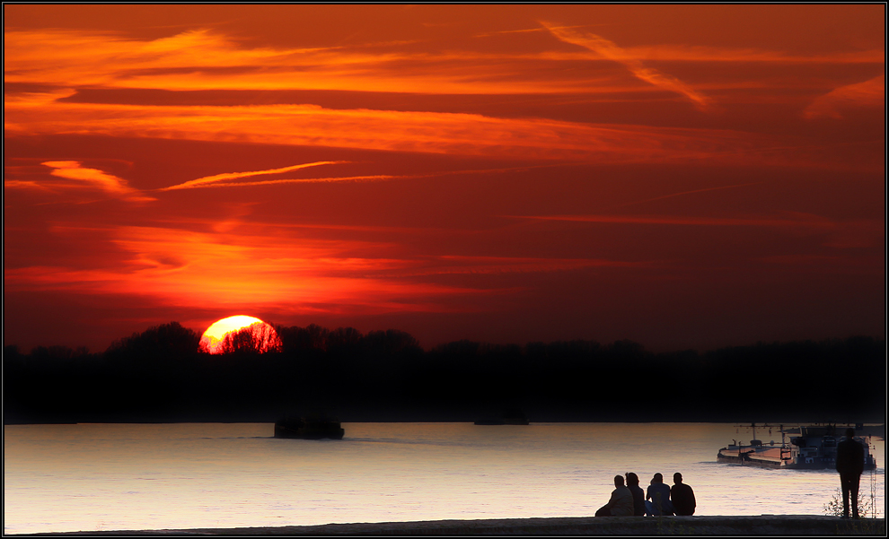 Sonnenuntergang am Rheinufer