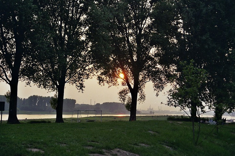 Sonnenuntergang am Rheinufer