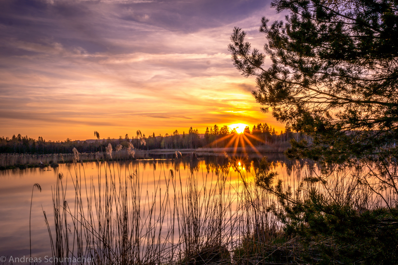 Sonnenuntergang am Riedsee in Bad Wurzach