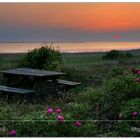 Sonnenuntergang am Ringkøbing Fjord #2