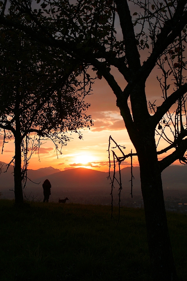 Sonnenuntergang am Romberg, Dornbirn