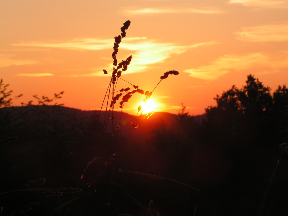 Sonnenuntergang am Rosterberg