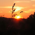 Sonnenuntergang am Rosterberg