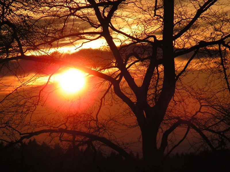 Sonnenuntergang am Rothaarsteig