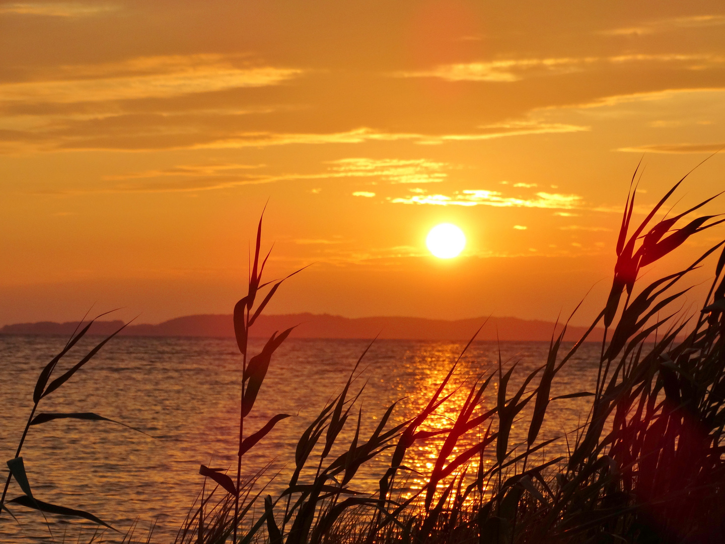 Sonnenuntergang am Rügener Bodden