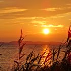 Sonnenuntergang am Rügener Bodden