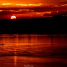 Sonnenuntergang am Rufiji River, Selous Nat. Park/Tanzania