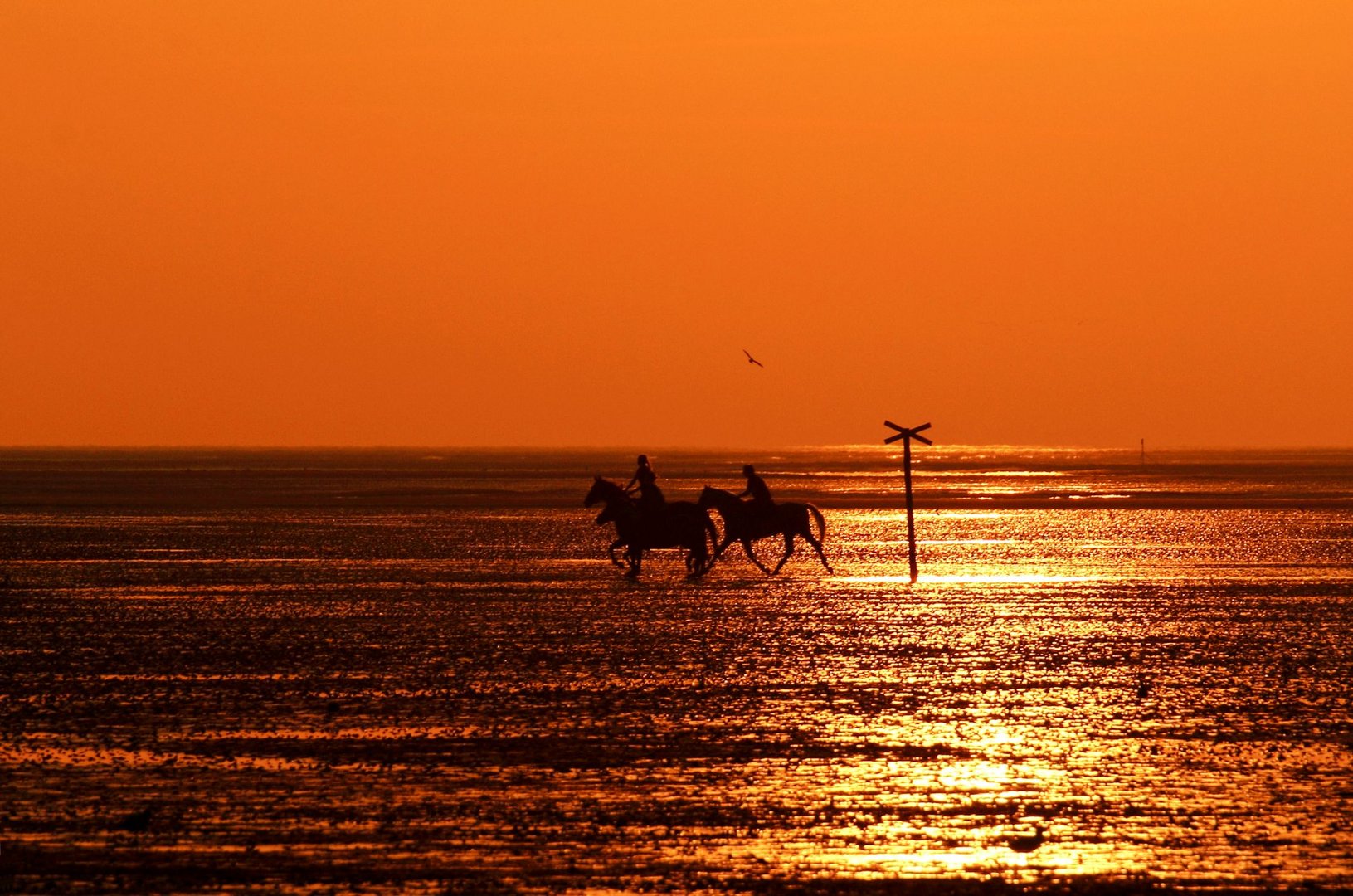 Sonnenuntergang am Sahlenburger Strand