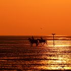 Sonnenuntergang am Sahlenburger Strand