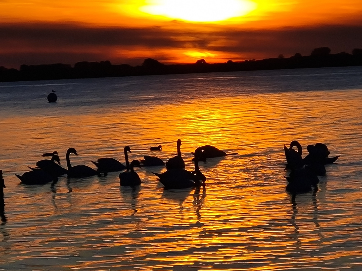 Sonnenuntergang am Salzhaff 