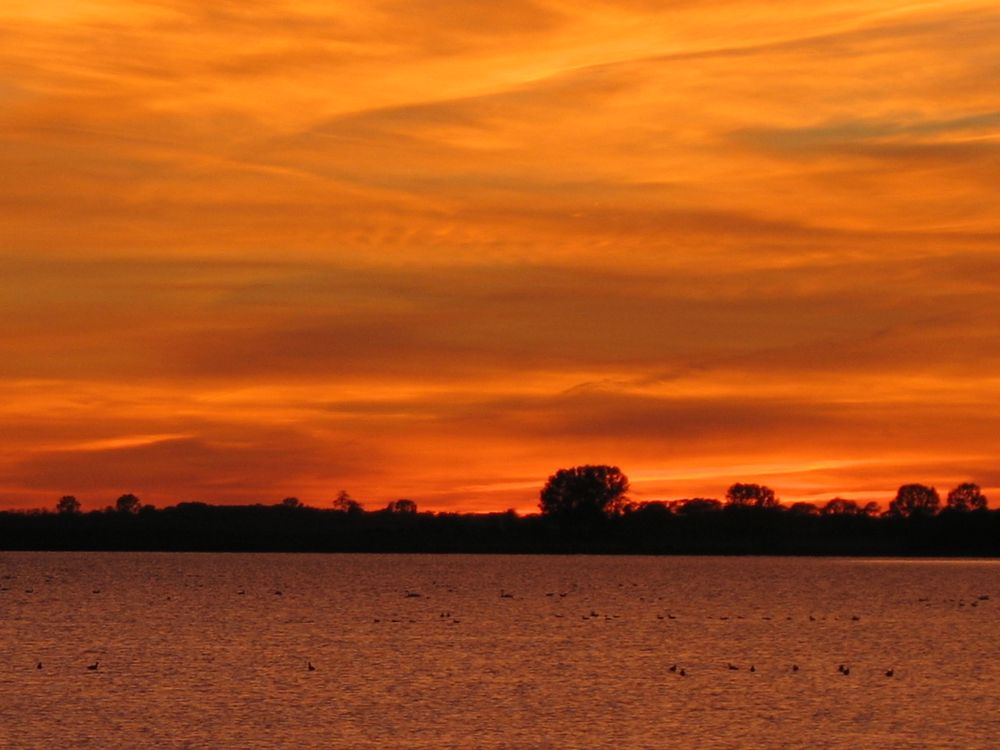 Sonnenuntergang am Salzhaff mit Blick zur Insel Poel Bild 2