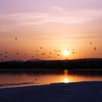 Sonnenuntergang am Salzsee