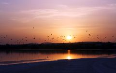 Sonnenuntergang am Salzsee