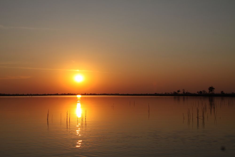 Sonnenuntergang am Sambesi