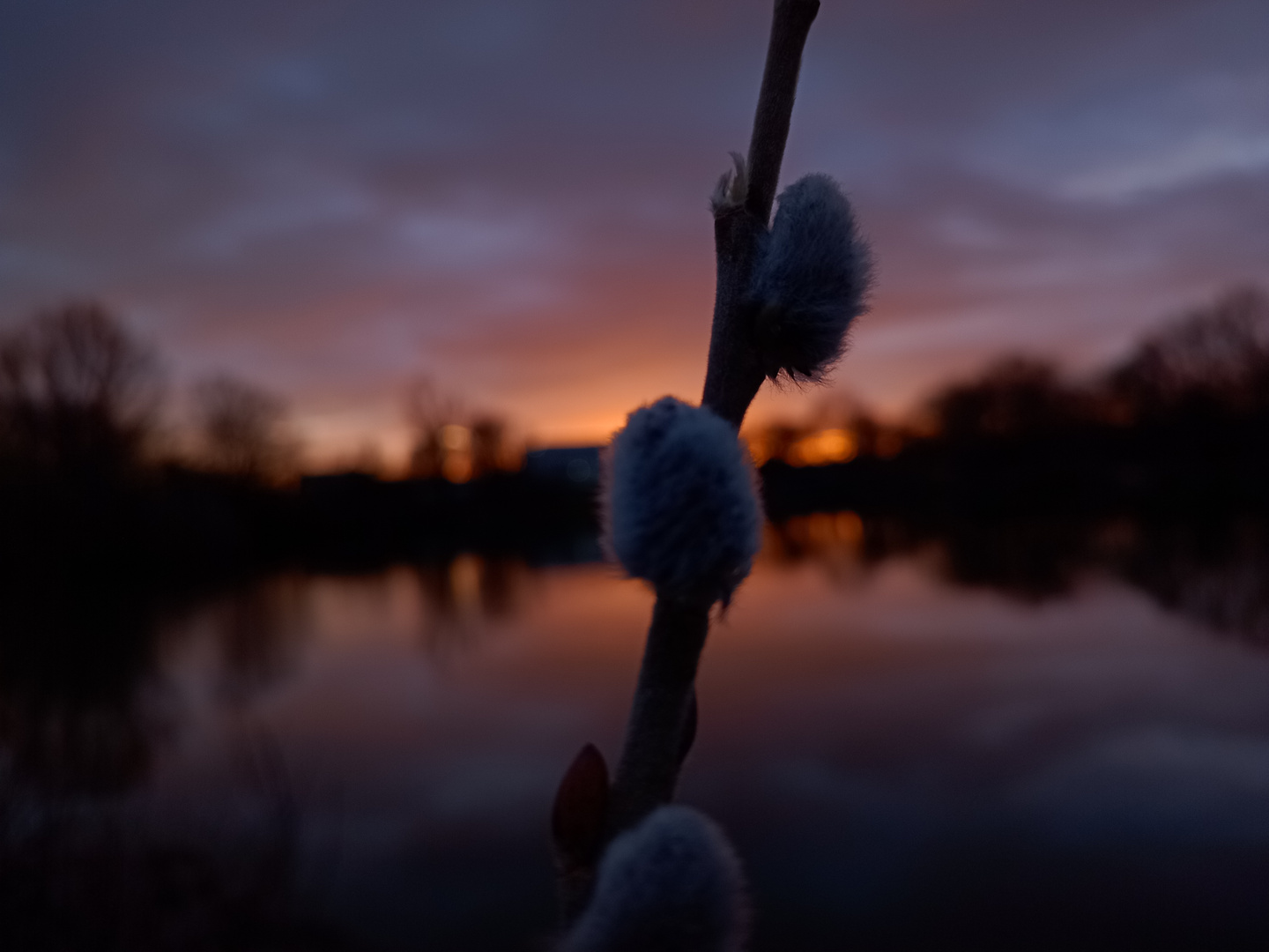 Sonnenuntergang am Schäferhäuser See