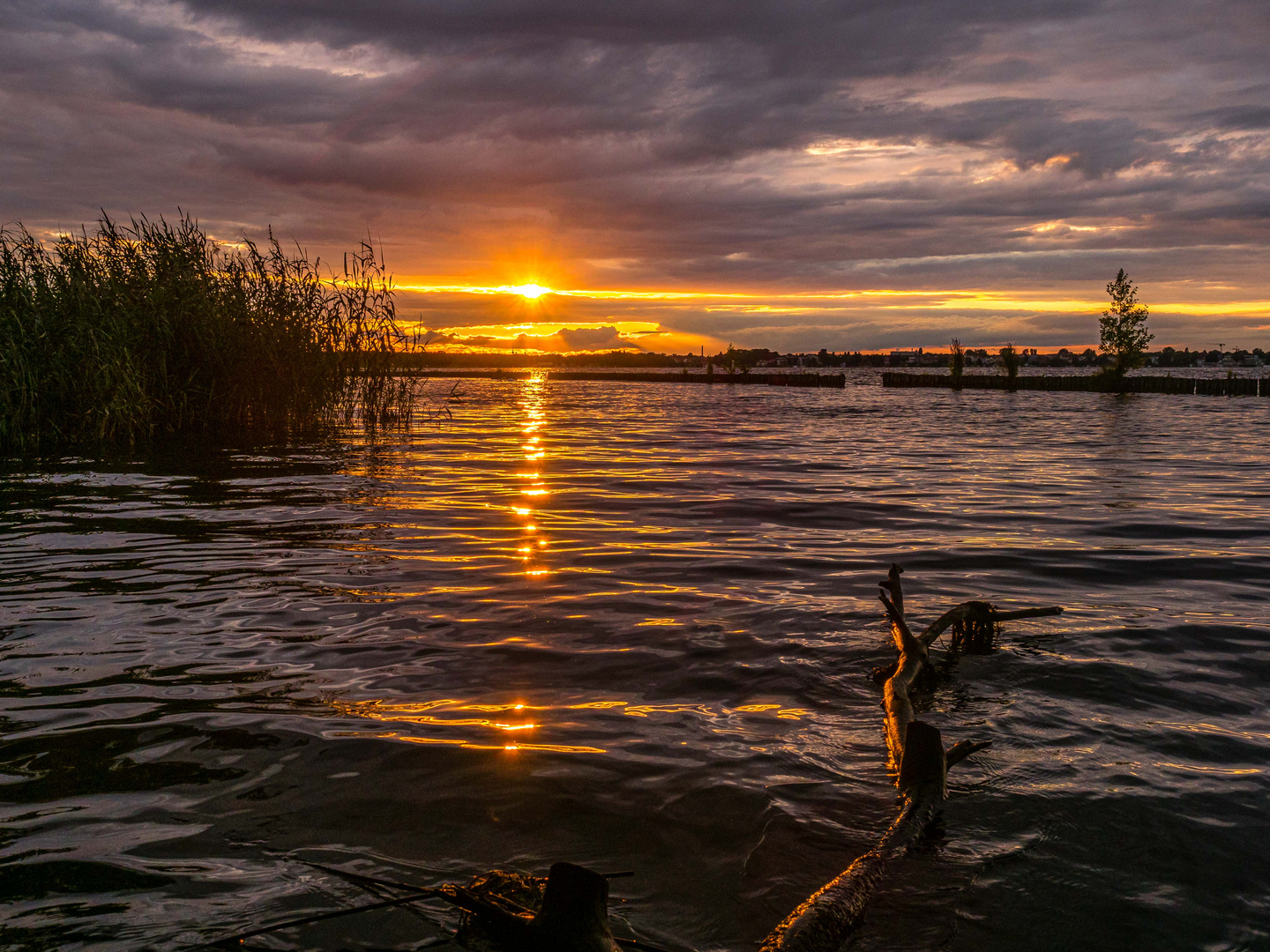 Sonnenuntergang am Schilfsaum des Müggelsees