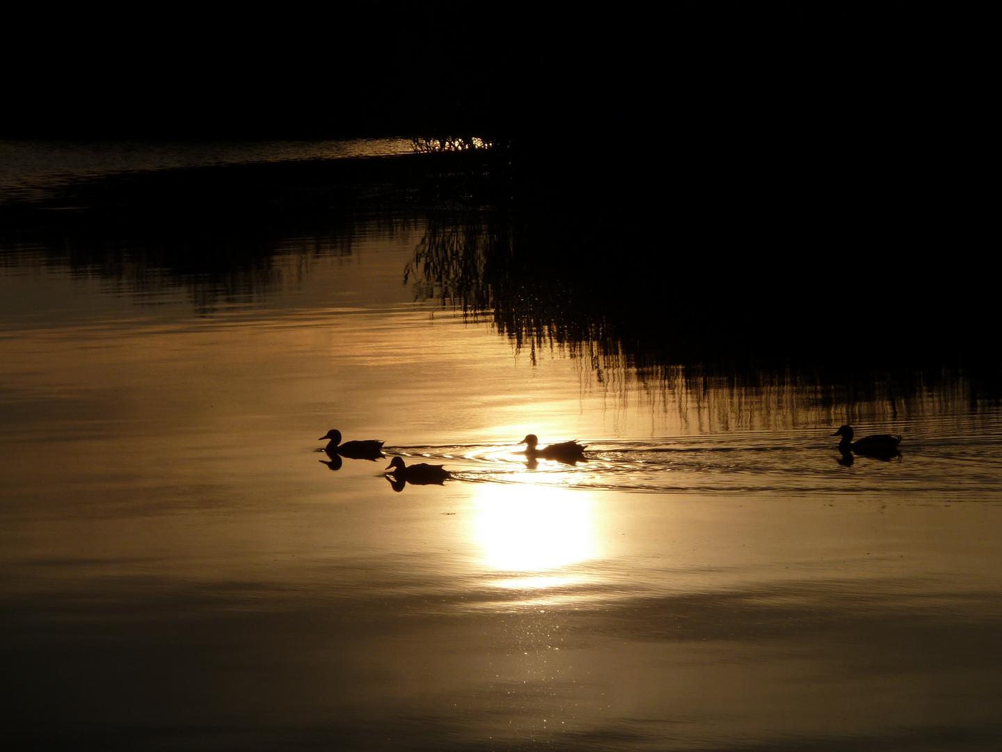 Sonnenuntergang am Schmachter See