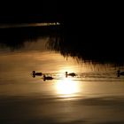 Sonnenuntergang am Schmachter See