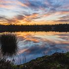 Sonnenuntergang am Schönramer Filz 