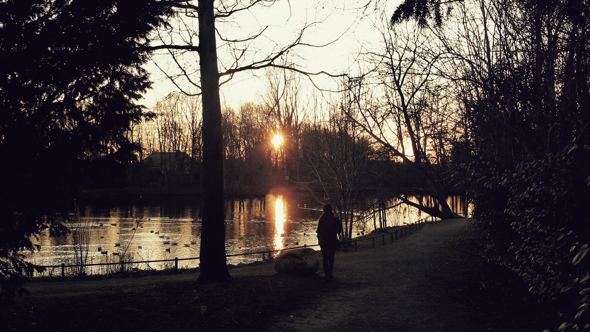 Sonnenuntergang am Schwanenteich