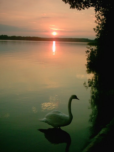 Sonnenuntergang am Schweriner See...