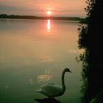 Sonnenuntergang am Schweriner See...