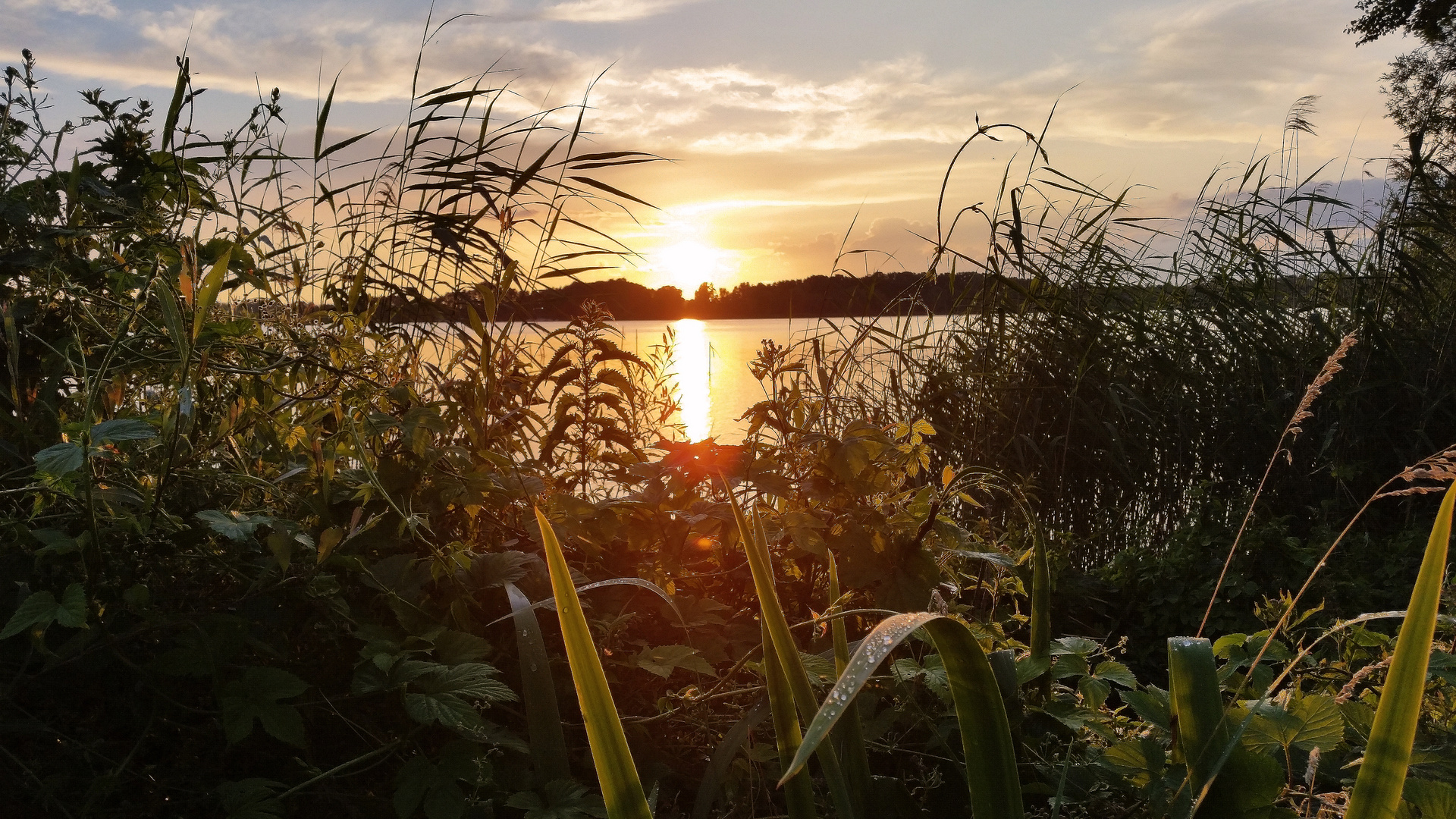 Sonnenuntergang am Schwielochsee