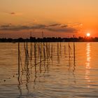 Sonnenuntergang am Seddinsee