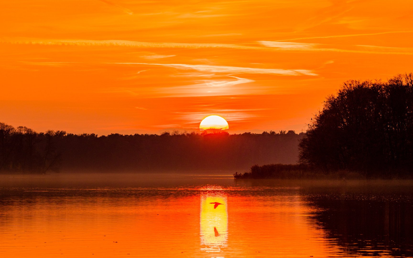 Sonnenuntergang am Seddinsee mit Kormoran