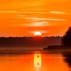 Sonnenuntergang am Seddinsee mit Kormoran