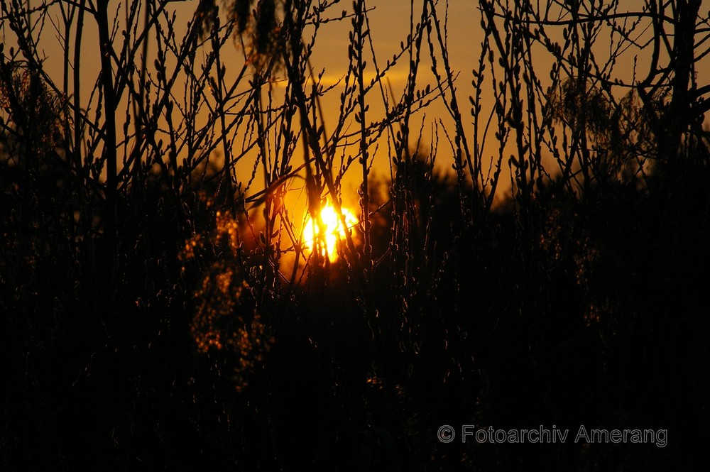 Sonnenuntergang am See 1