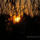 Sonnenuntergang am See 1