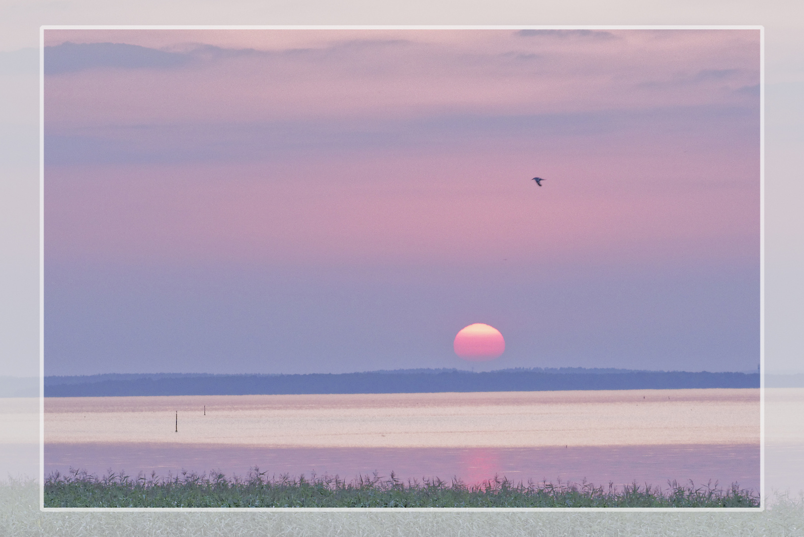 Sonnenuntergang am See (1)