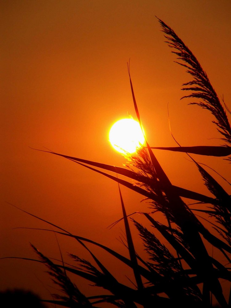 sonnenuntergang am see