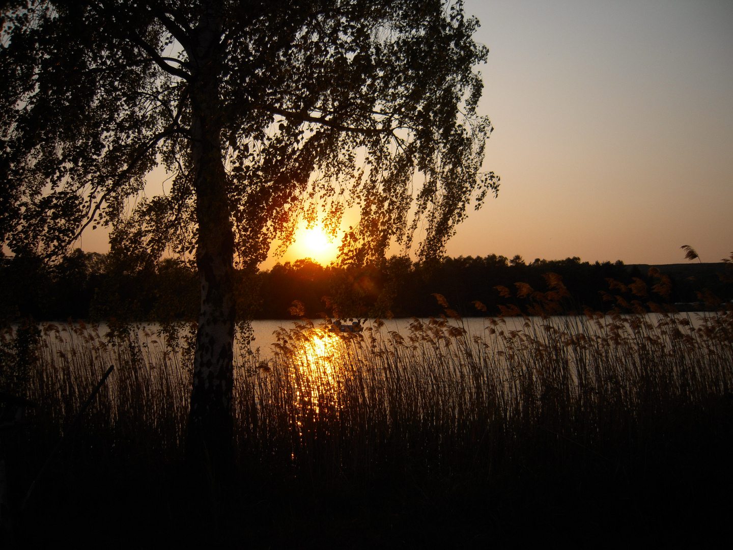 Sonnenuntergang am See