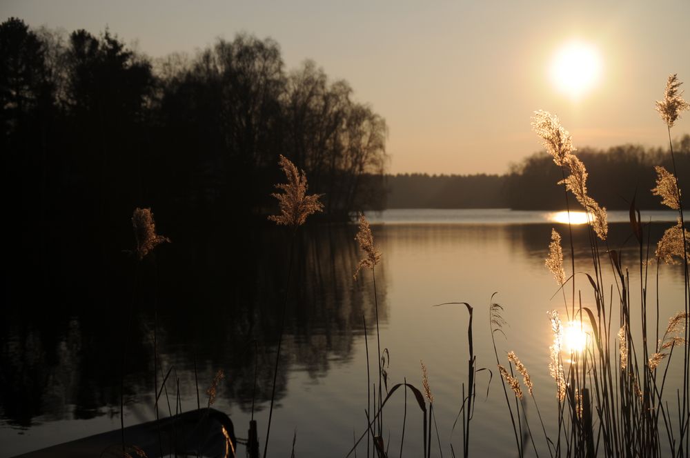 Sonnenuntergang am See by starlight56 