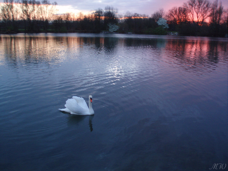 Sonnenuntergang am See