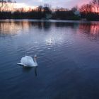 Sonnenuntergang am See