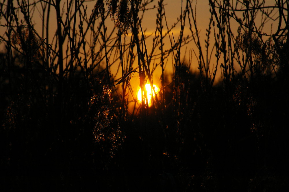 Sonnenuntergang am See 2