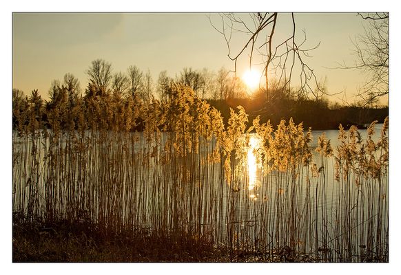 Sonnenuntergang am See