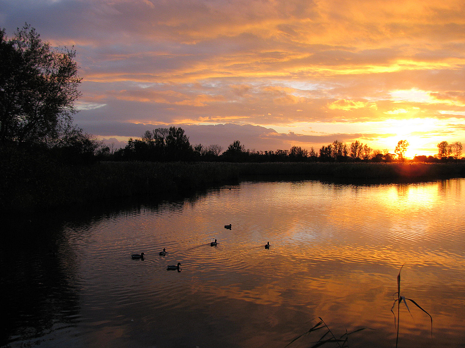 Sonnenuntergang am See