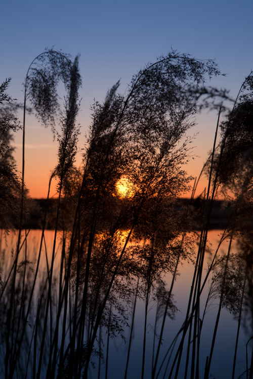 Sonnenuntergang am See