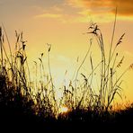 Sonnenuntergang am See