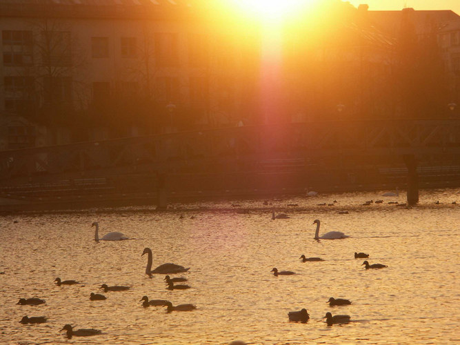 Sonnenuntergang am See