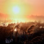 Sonnenuntergang am See