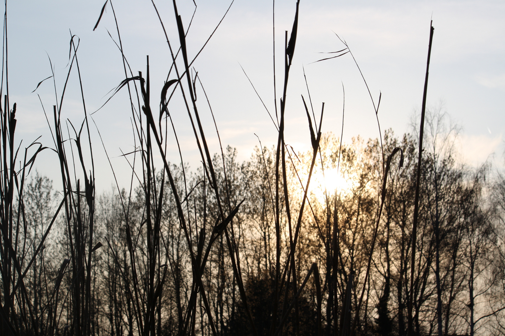 Sonnenuntergang am See