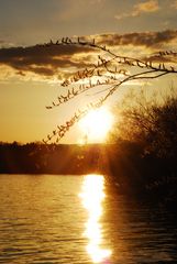 Sonnenuntergang am See