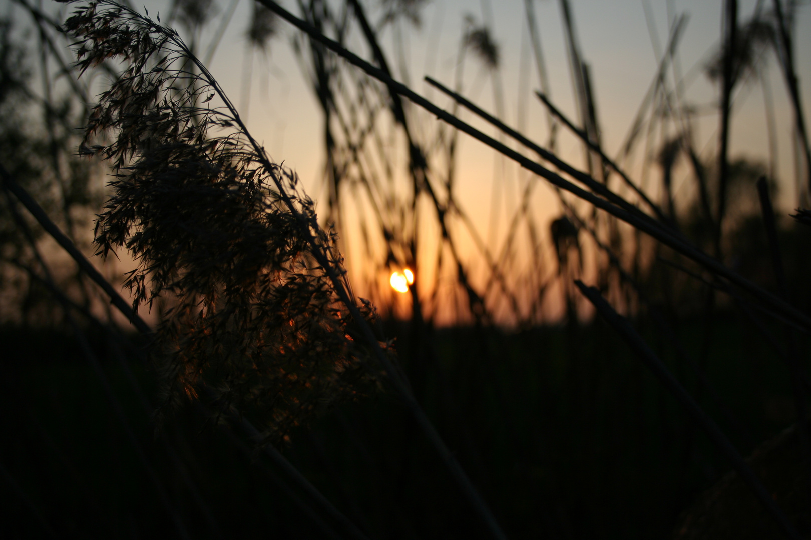 Sonnenuntergang am See